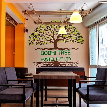 Bodhi Tree Hostel Katmandu Dış mekan fotoğraf