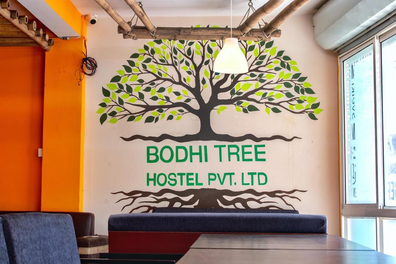 Bodhi Tree Hostel Katmandu Dış mekan fotoğraf